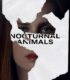 Nocturnal Animals – Gece Hayvanları