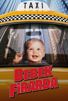 Baby’s Day Out – Bebek Firarda