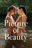 Picture of Beauty – Güzelliğin Resmi