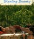 Stealing Beauty – Çalınmış Güzellik