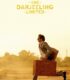 The Darjeeling Limited – Küs Kardeşler Limited Şirketi