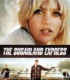 The Sugarland Express – Sugarland Ekspresi