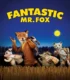 Fantastic Mr. Fox – Yaman Tilki