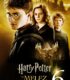 Harry Potter ve Melez Prens