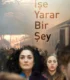 İşe Yarar Bir Şey