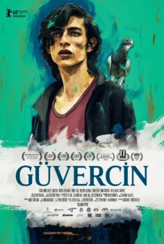 Güvercin