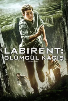 The Maze Runner – Labirent: Ölümcül Kaçış