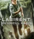 The Maze Runner – Labirent: Ölümcül Kaçış
