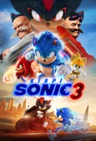 Kirpi Sonic 3